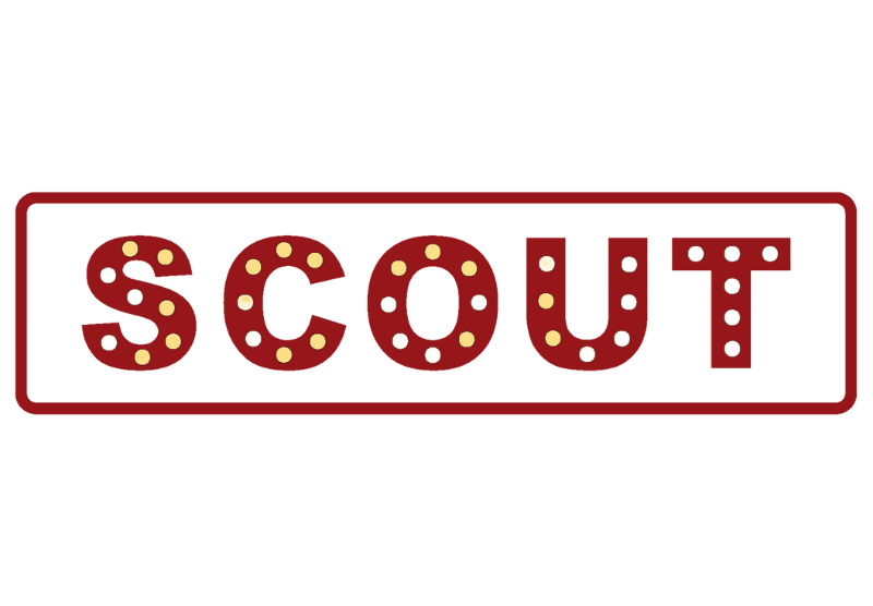 Logo sito SCOUT